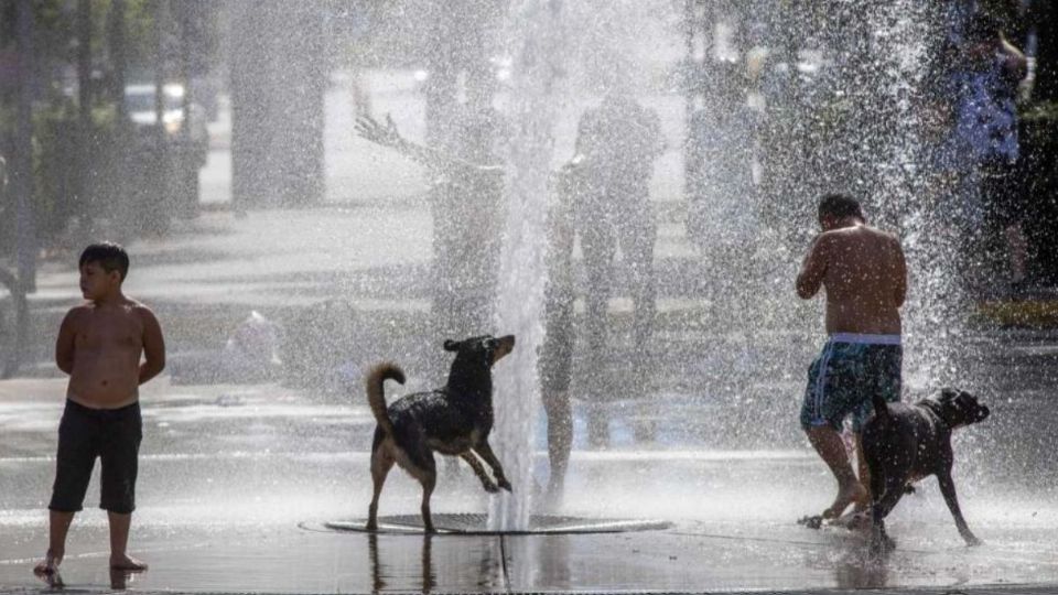 La falta de lluvias y el aumento de la temperatura han favorecido también la propagación de incendios.