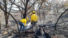 Reportan 409 incendios forestales en CDMX en lo que va de la temporada de estiaje