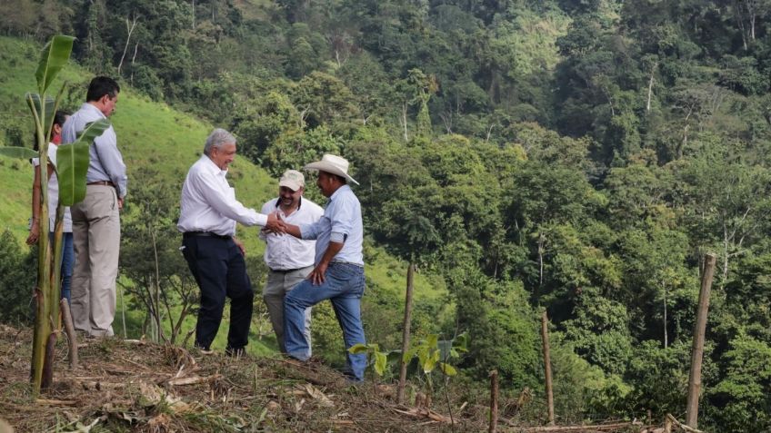 Ariadna Montiel: van más de 176 mil beneficiarios con Sembrando vida en la ruta del Tren Maya