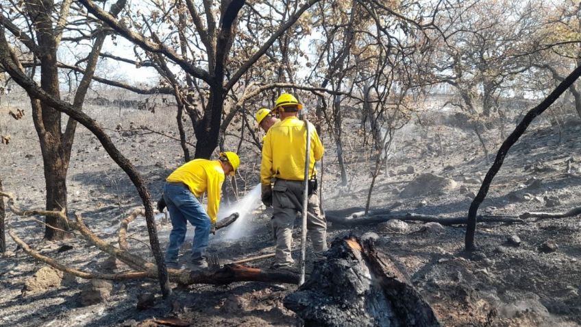 Reportan 409 incendios forestales en CDMX en lo que va de la temporada de estiaje