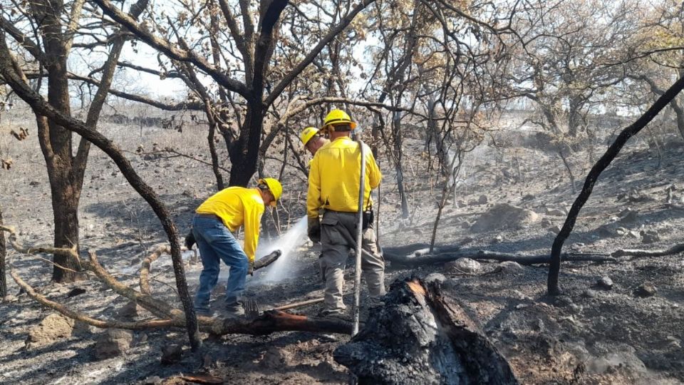 Gobierno e instituciones han invertido en la capacitación de elementos combatientes de incendios forestales