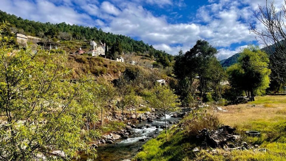 Los instrumentos internacionales firmados por México, reconocen los derechos territoriales y la consulta libre, previa e informada de los pueblos indígenas.