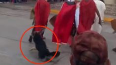 VIDEO | "Se merece el cielo": perrito defiende a Jesús durante Viacrusis en Coahuila