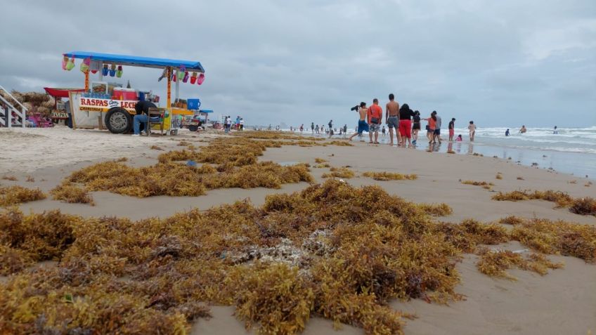 FOTOS | Turistas disfrutan de la playa Miramar, pese a llegada del sargazo