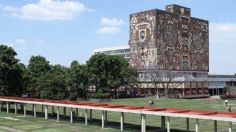 ¿La UNAM puede revocar títulos universitarios? Los cambios en sus estatutos para prevenir plagios en tesis