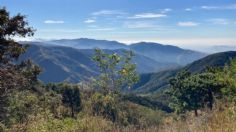 Oaxaca: autoridades de Chimalapas implementan ruta jurídica para recuperar 160 mil hectáreas