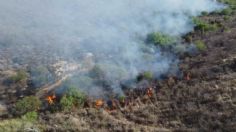 Incendio forestal en Sonora arrasa con más de 200 hectáreas: reportan otros tres siniestros activos en la sierra