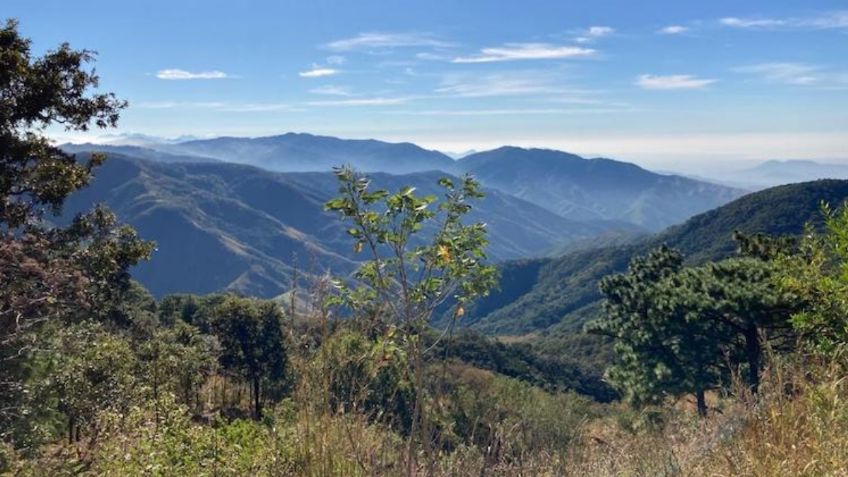 Oaxaca: autoridades de Chimalapas implementan ruta jurídica para recuperar 160 mil hectáreas