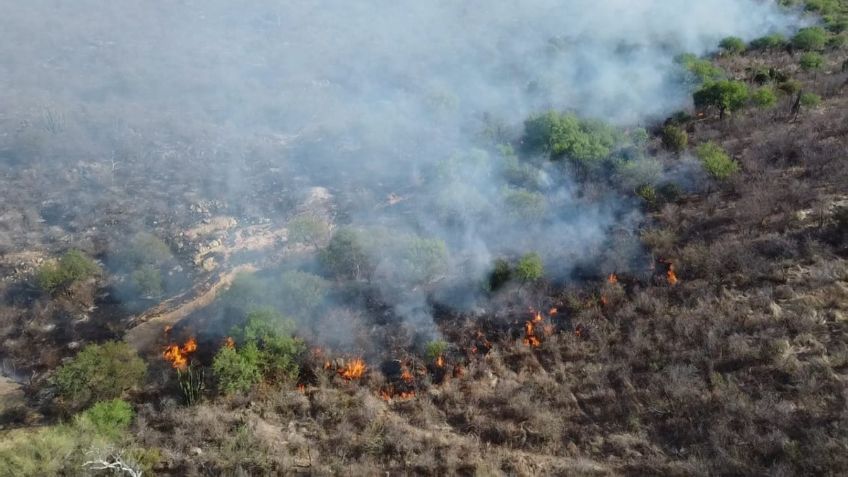 Incendio forestal en Sonora arrasa con más de 200 hectáreas: reportan otros tres siniestros activos en la sierra