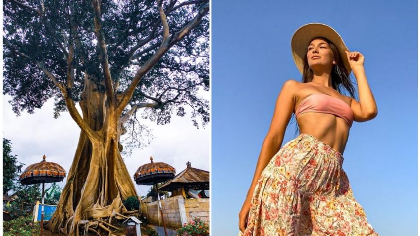 Detienen a "curandera" por tomarse una foto prohibida en el árbol sagrado de Bali