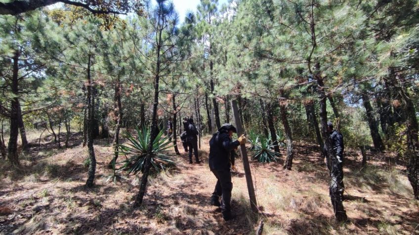 Recupera Sedema más de 176 hectáreas del Suelo de Conservación en una semana