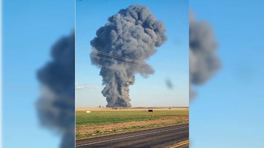 Estremecedor: mueren 18 mil vacas por explosión en granja de Texas