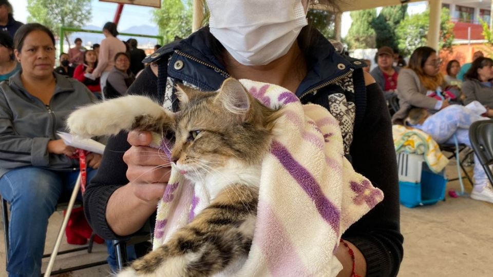 Se recomendó a los dueños acudir con sus mascotas limpias y llevar una cobija