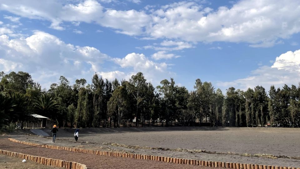 Así se llevan a cabo las labores dentro del Bosque de Tláhuac. FOTO: Haniel Mata