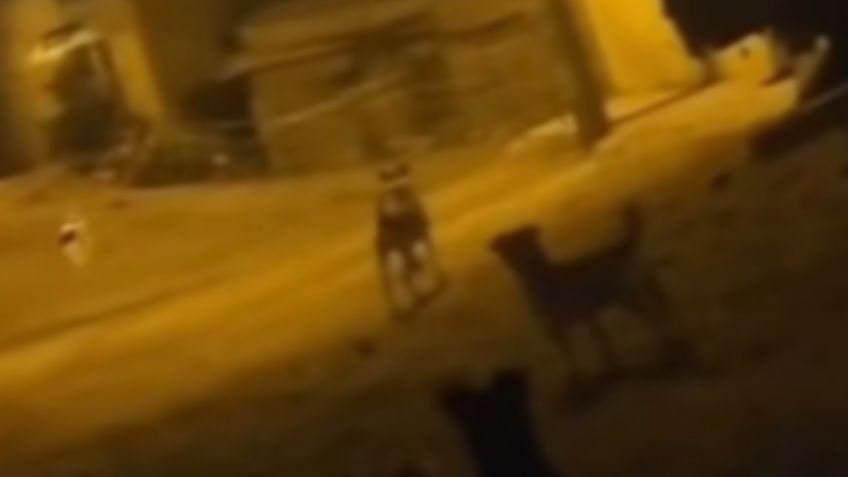 VIDEO DE MISTERIO: graban a perro levitando por las calles de un pueblo