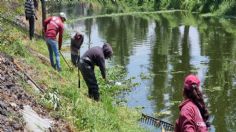 Anuncian trabajos de limpieza y mantenimiento en red de canales en CDMX