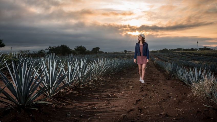 Arranca el Festival Internacional de Cine de Tequila