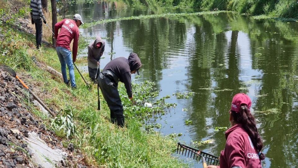 Personal de la Corenadr realiza limpieza en canales de agua