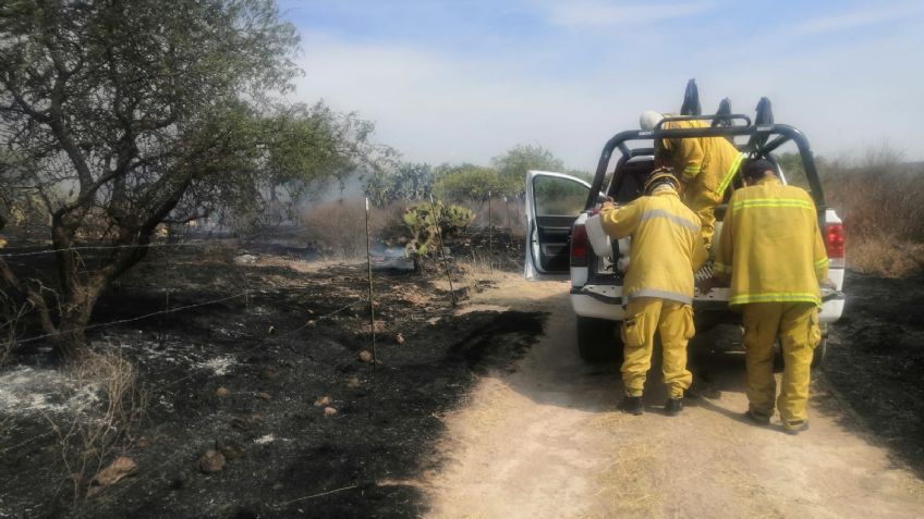 Incendio forestal por Jaltomate afecta cerca de 50 hectáreas