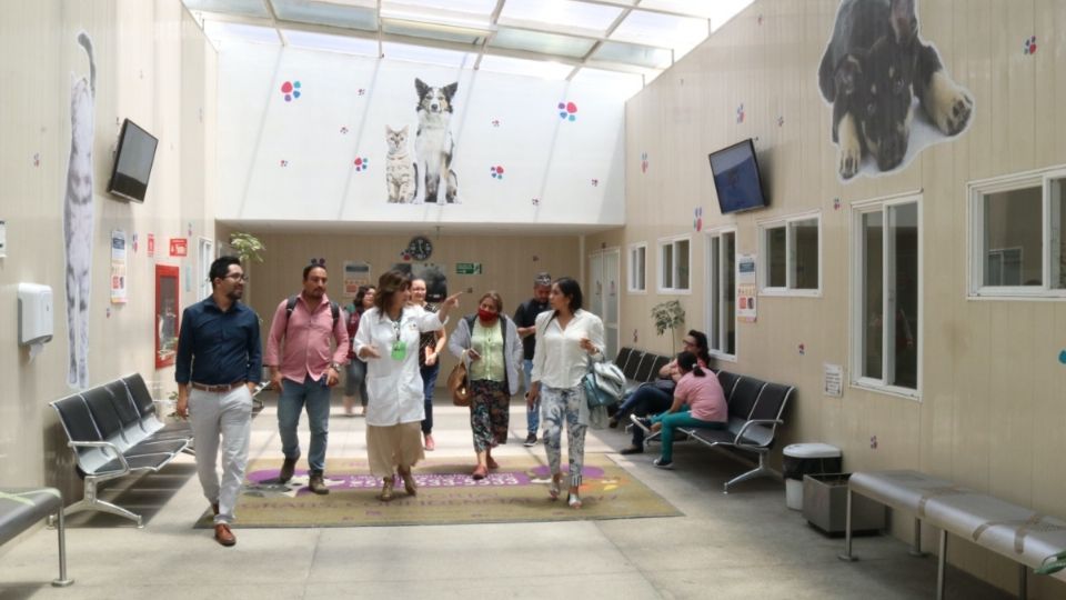 Veterinarios y autoridades de Tequisquiapan conocieron el Hospital Veterinario de la CDMX