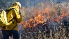 Incendios forestales, escasez de agua y contaminación: Ecologistas alertan una crisis ambiental en Morelia