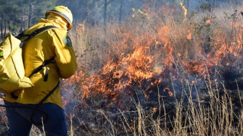 Incendios forestales, escasez de agua y contaminación: Ecologistas alertan una crisis ambiental en Morelia