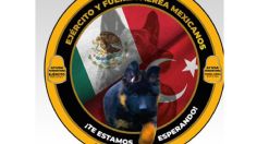 Héroes de 4 patas: Turquía dona cachorrito rescatista a México, será el heredero de Proteo