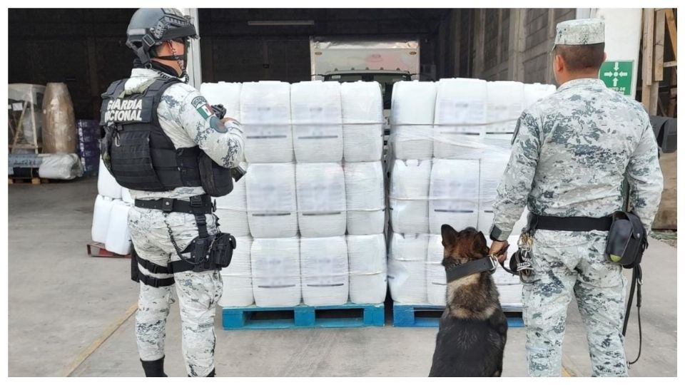 Los perros entrenados por las Fuerzas Armadas pueden localizar desde precursores químicos hasta armamento