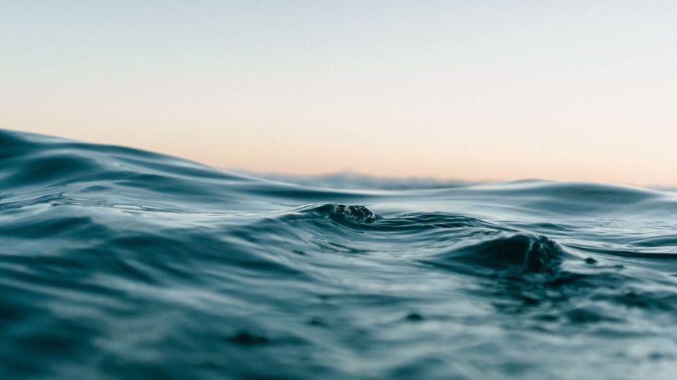 Este mes, la superficie del mar alcanzó un nuevo récord de temperatura que nunca se había alcanzado ni tan rápido