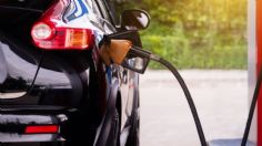 Subirá el precio de la gasolina la primera semana de mayo, ¿cuánto costará el litro?