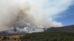 Fuerte incendio en Jalisco, 260 personas son evacuadas