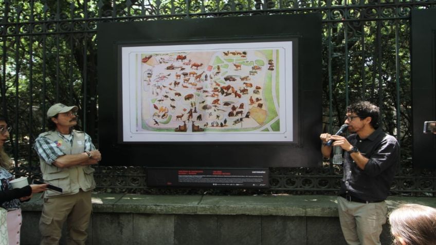 Presentan exposición sobre los 100 años del zoológico de Chapultepec