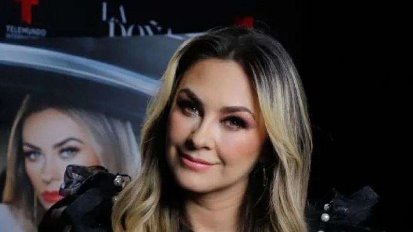 Aracely Arámbula confirma el body aterciopelado más chic de la temporada