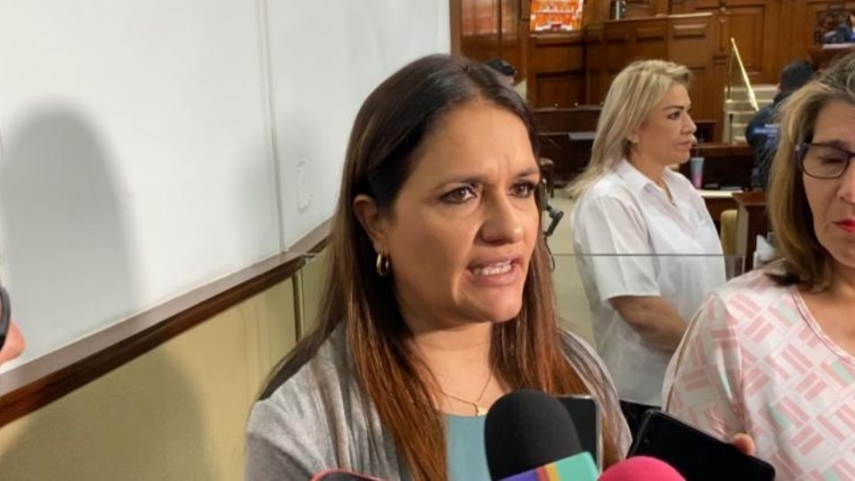 Diputada del Congreso de Aguascalientes