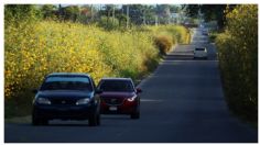 Aceleran las ventas de autos, de acuerdo con Inegi