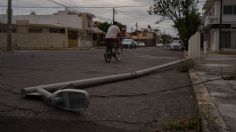 Alerta en CDMX: prevén fuertes vientos y posible caída de árboles en 12 alcaldías