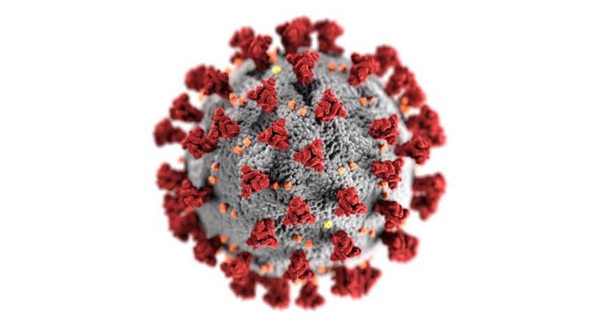 Científicos chinos revelan nuevos datos sobre el origen de la pandemia en el mercado de Wuhan