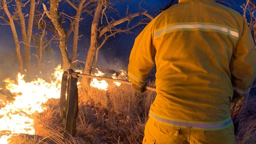 Incendio forestal afecta Cerro de los Gallos