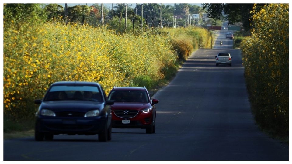 Por el mayor flujo vehicular aumenta el riesgo de accidentes de tránsito