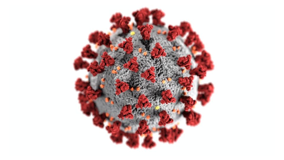 Los nuevos datos pueden ayudar a conocer el origen de la pandemia.