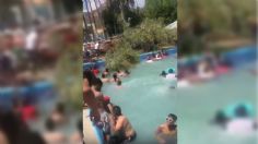 VIDEO | Tragedia en balneario de Guanajuato: cae árbol y mata a un niño de 11 meses