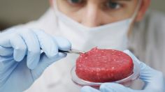 Carne cultivada en laboratorio podría ser igual de contaminante que la tradicional, alerta estudio