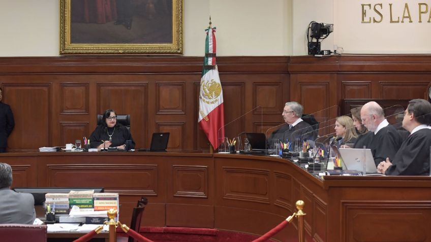 Poder Judicial de la Federación decidirá el futuro de las elefantas Ely y Gipsy