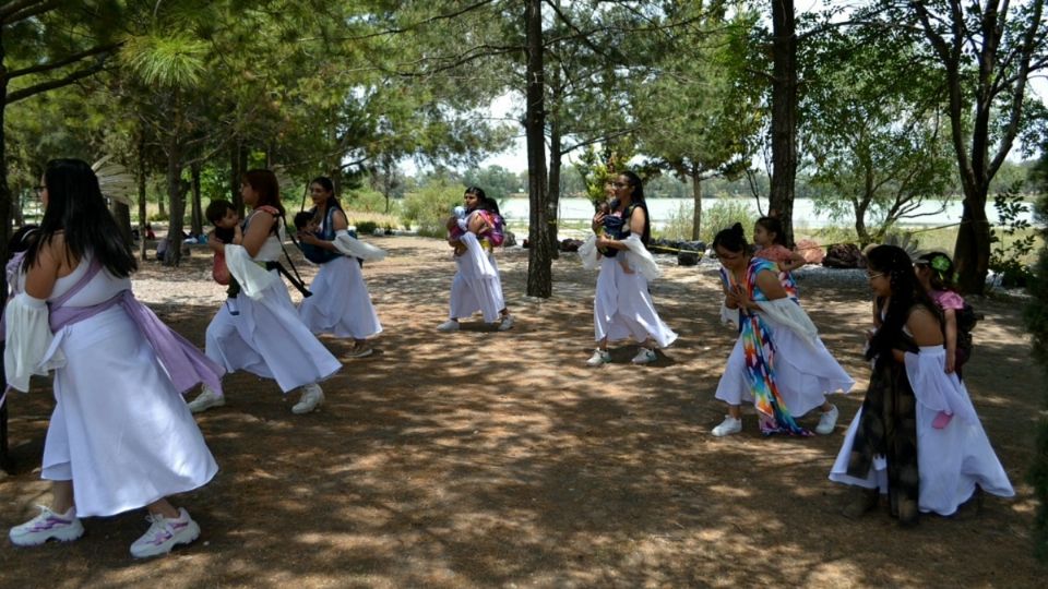 Contaminantes en el ambiente dañan desarrollo de infantes y elevan el riesgo de preeclampsia, abortos y partos prematuros en las madres
