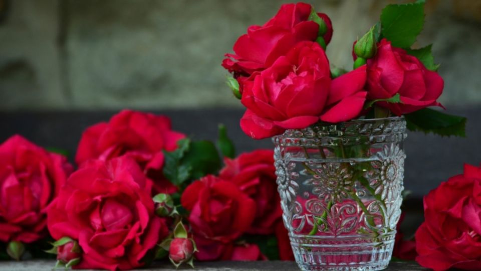 Unas rosas rojas en un vaso con agua.