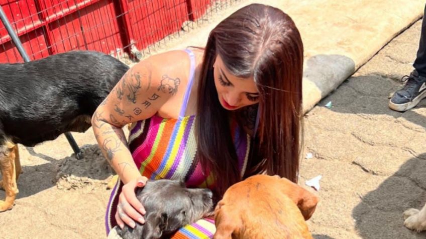 Karely Ruiz: ¿por qué no adopta un perro la modelo? Haters la cuestionan tras ayuda a refugios de animales