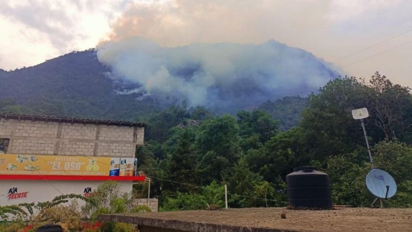 Rayos alertan a Veracruz: ya provocaron dos incendios forestales