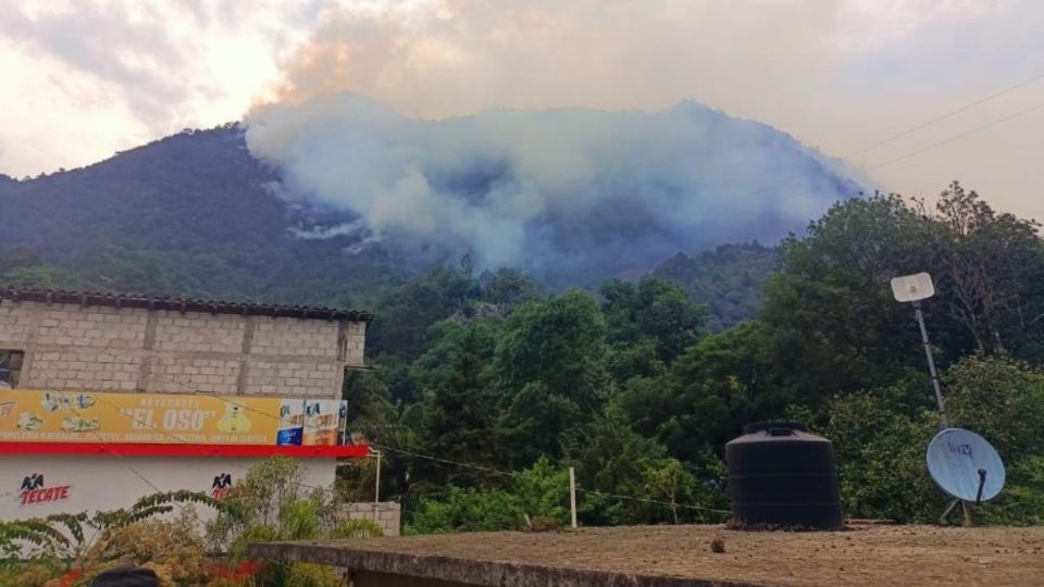 La caída de rayos por tormentas eléctricas provocó dos incendios forestales