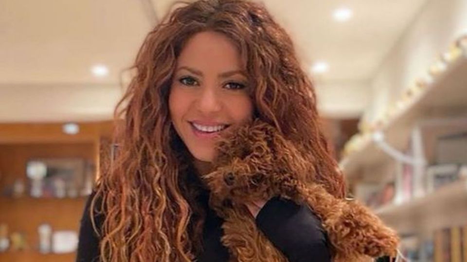 Todo indica que Shakira buscaría tener un tercer hijo, esta vez con un reconocido deportista, el cual se especula podría ser el piloto de carreras con el que se ha dejado ver en las últimas semanas