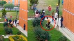 VIDEO | "Ese perro no se saca sin bozal": joven mira impotente cómo el pitbull de la vecina mata a su perro